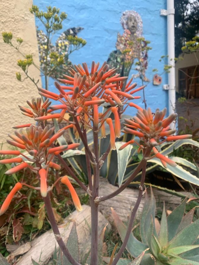 Artkaroo Stay Oudtshoorn Exterior photo