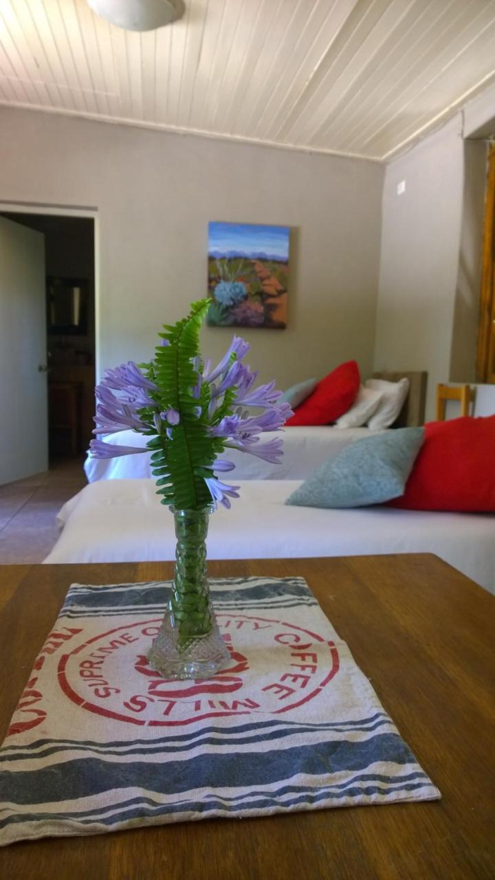 Artkaroo Stay Oudtshoorn Exterior photo